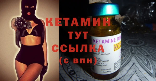 прущие грибы Верея