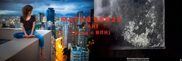 прущие грибы Верея