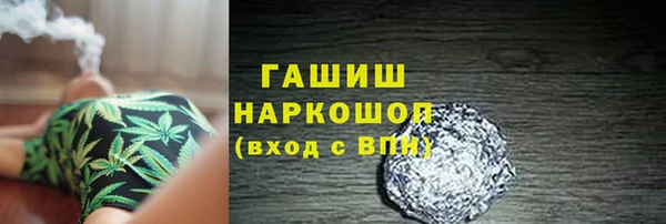 прущие грибы Верея
