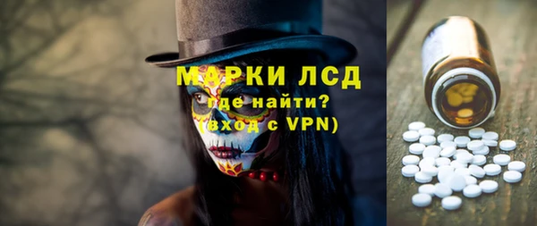 прущие грибы Верея