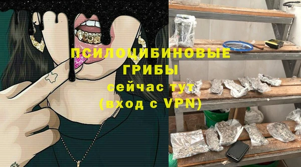 прущие грибы Верея