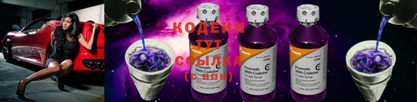 прущие грибы Верея