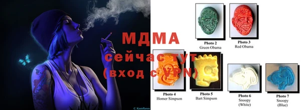 прущие грибы Верея