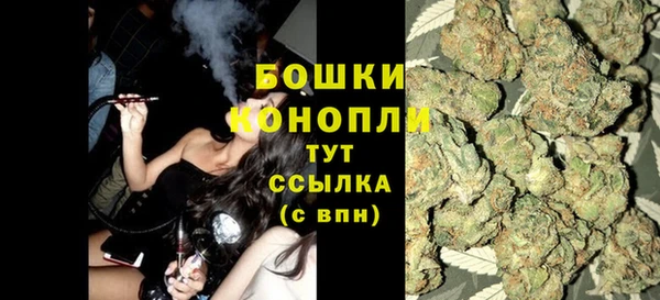 прущие грибы Верея